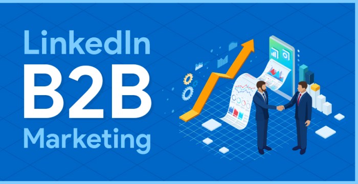 Linkedin marketing b2b strategies grow business devrix