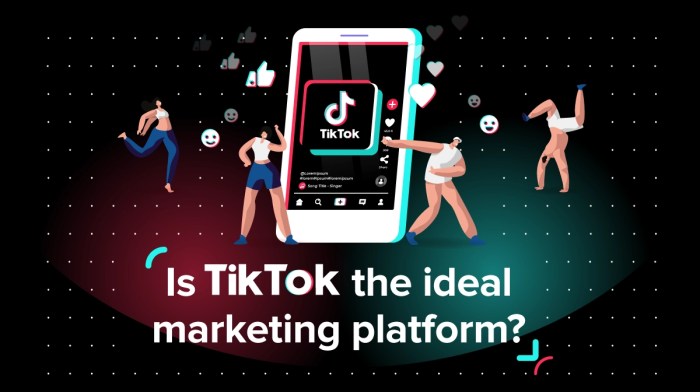 Tiktok tik ganar dinero dominar campaigns influencermarketinghub